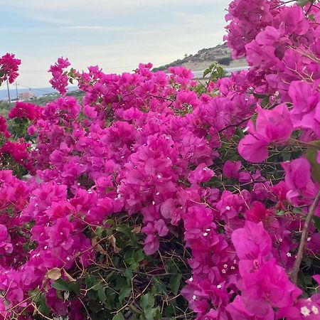 Villa Marmelada Ierápetra エクステリア 写真
