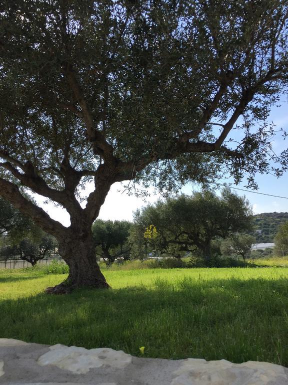 Villa Marmelada Ierápetra エクステリア 写真
