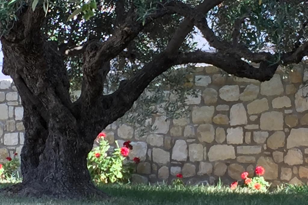 Villa Marmelada Ierápetra エクステリア 写真